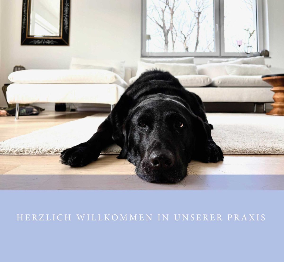 Monica Schade -Praxis für AD(H)S Coaching / Seminare und psychologische Beratung in Stuttgart